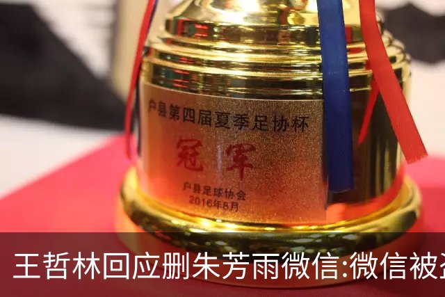 王哲林回应删朱芳雨微信:微信被盗号删了几百个好友 连我妈都被删了